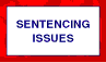 Sentencing Issues